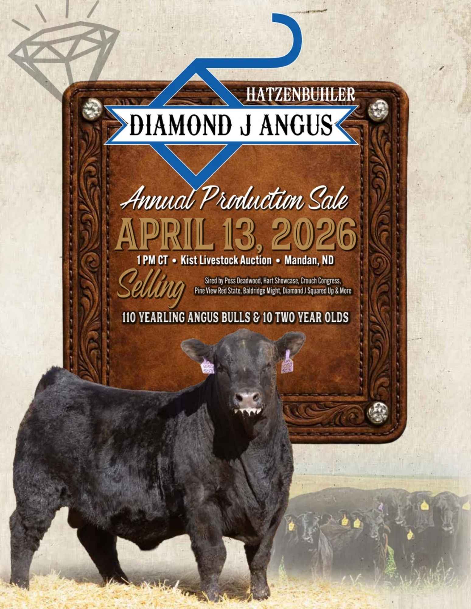 Diamond J Angus Bulls For Sale