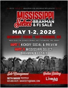 Mississippi Select Brahman Sale 2026 Catalog Ranch Channel
