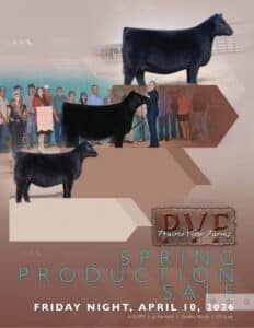Prairie View Farms Angus Bulls Heifers Embryo Sale 2026 Ranch Channel Catalog