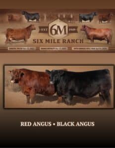 Six Mile Ranch Fir Mountain, Saskatchewan Canada Black Angus Red Angus For Sale Ranch Channel