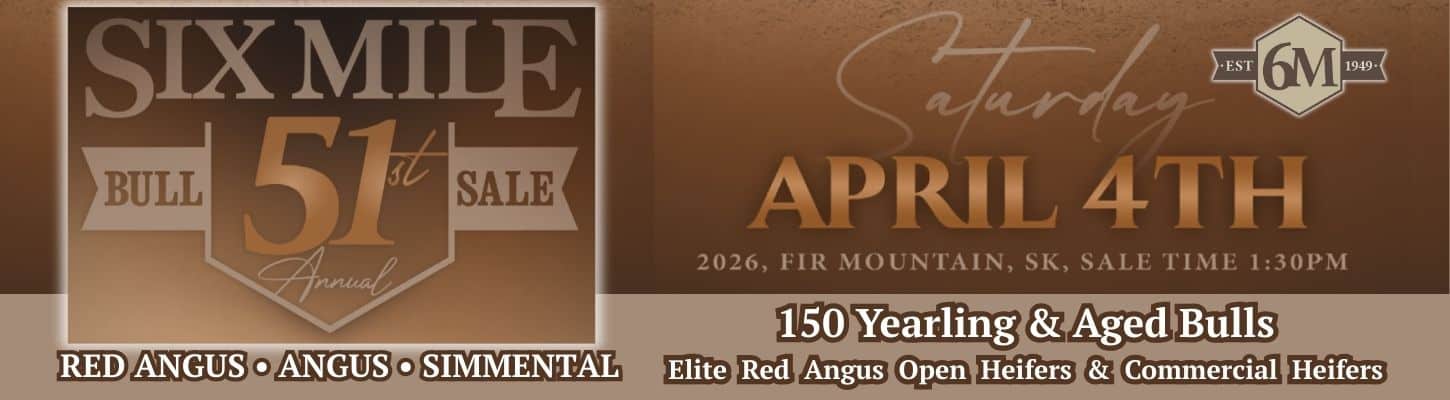 Six Mile Ranch Angus Red Angus Simmental Bull Heifer Sale Canada