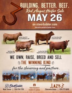 Lazy 3 Cattle Cheramie Viator Red Angus Heifer Sale 2026