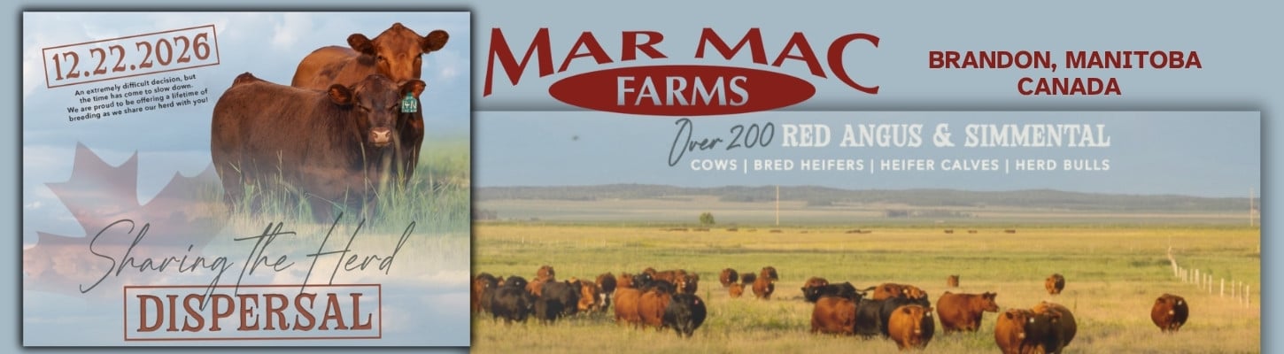 Mar Mac Farms Red Angus Simmental Herd Dispersal Cow, Calf, Bull Sale Ranch Channel