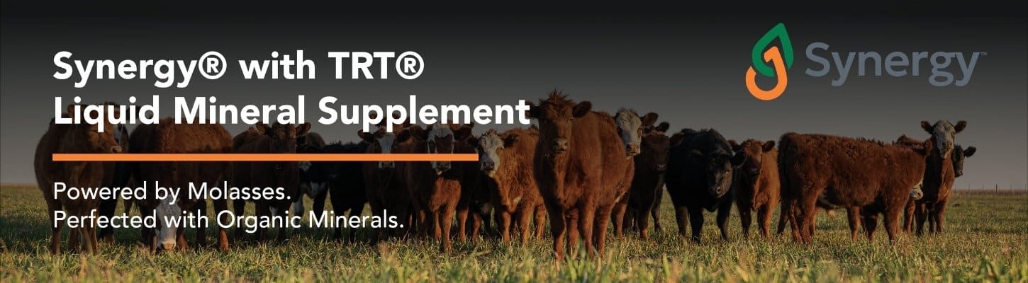 Synergy Liquid Mineral Supplement Westway Feed Ranch Channel