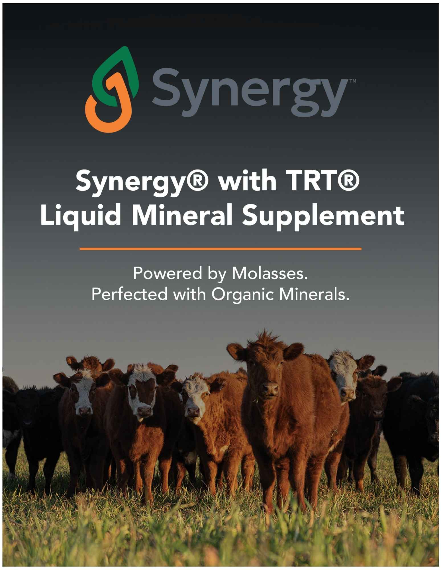 Synergy TRT Liquid Mineral Supplement Westway Feed Ranch Channel