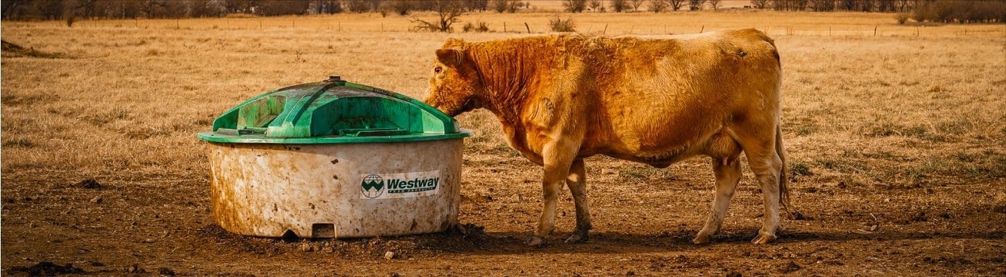 Westway Feed Products