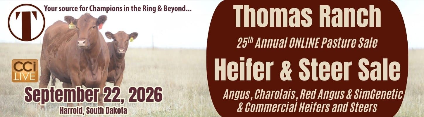 Thomas Ranch Heifer Steer Sale Harrold South Dakota 2026