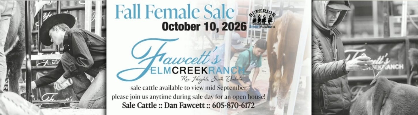 Fawcett's Elm Creek Ranch Hereford Heifer Cow Sale 2026