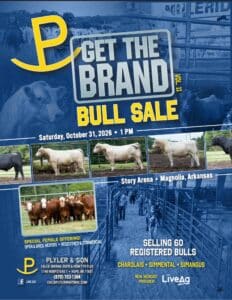 Pyler Son Charolais Simmental SimAngus Bull Sale Catalog 2026 Arkansas Ranch Channel