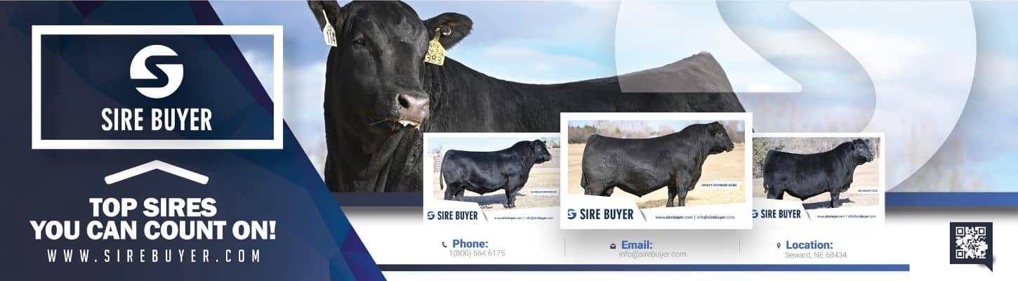 Sire Buyer Livestock Genetics For Sale Semen Embryos