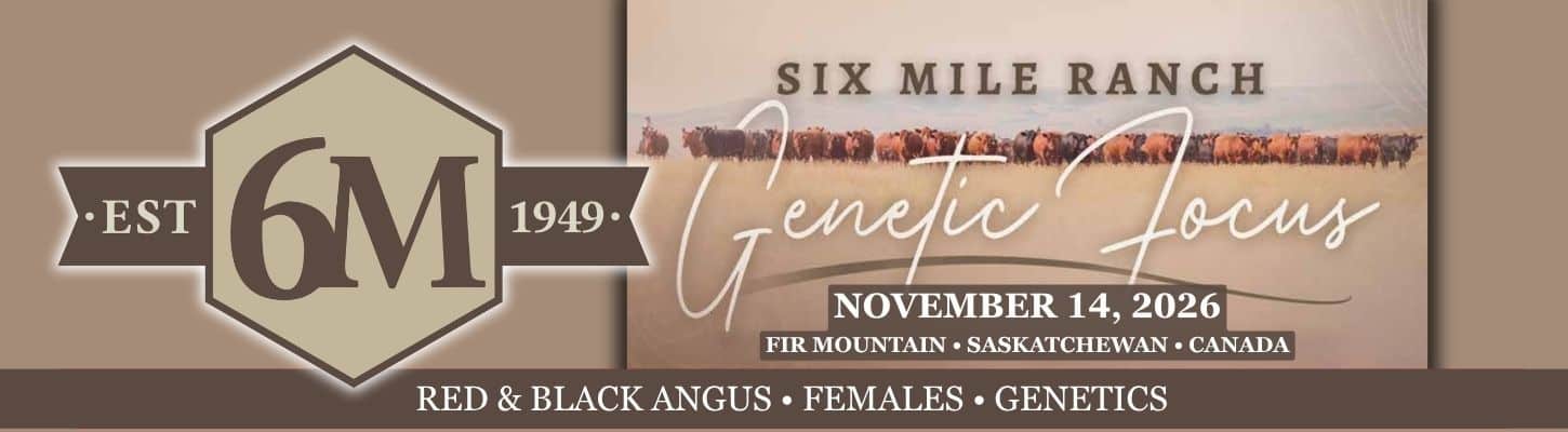 Six Mile Ranch Fir Mountain SK Canada Red Angus Black Angus for sale heifers cows genetics