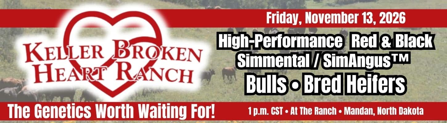 Keller Broken Heart Ranch Simmental SimAngus Bull Bred Heifer Sale Catalog 2026 Ranch Channel North Dakota