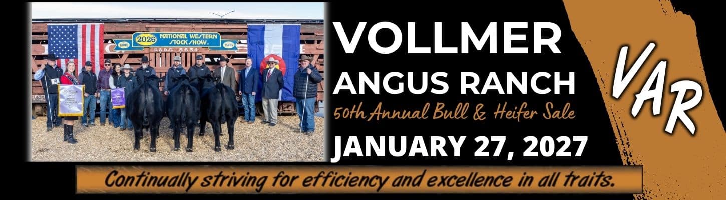 Vollmer Angus Ranch Bull Heifer Sale on DV Auction 2027 Ranch Channel