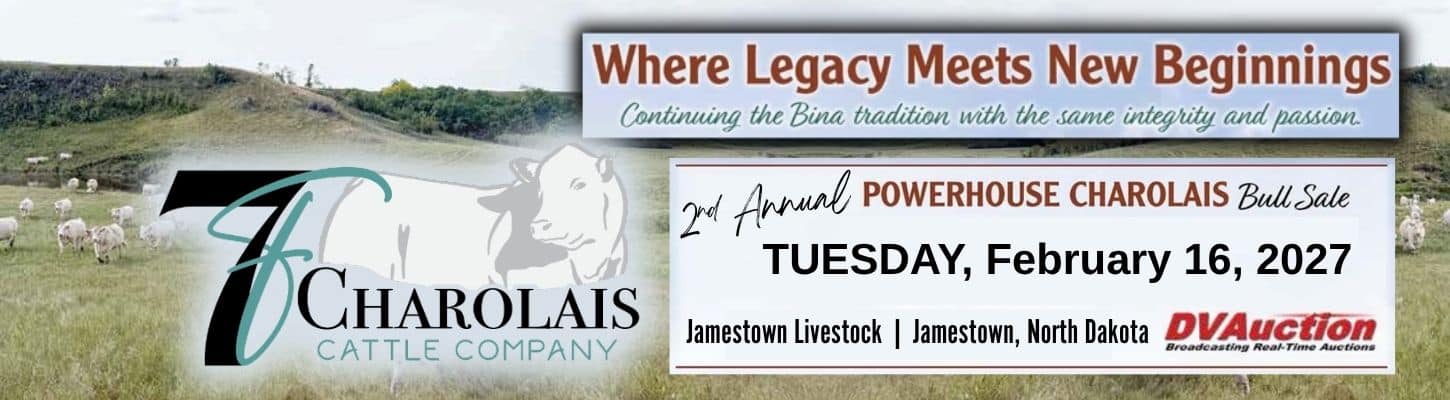 7F Charolais Cattle Company Bull Sale 2027 Ranch Channel
