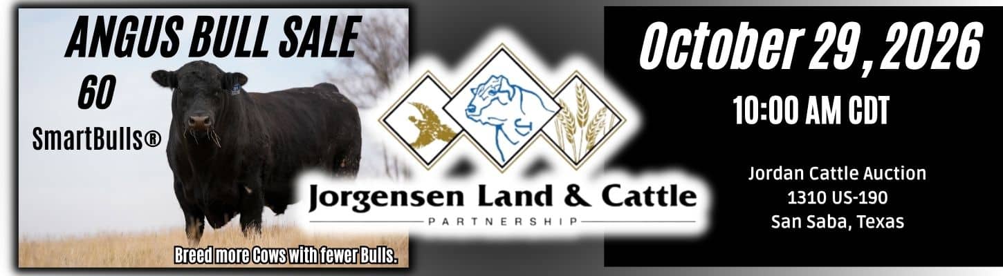 Jorgensen Land & Cattle Angus SmartBull Bull Sale Texas Ranch Channel 2026