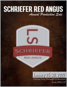 Schriefer Red Angus Bull Heifer Online Sale 2026 Catalog. North Dakota. Ranch Channel