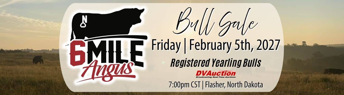 6 Mile Angus Bull Sale 2027 North Dakota Ranch Channel
