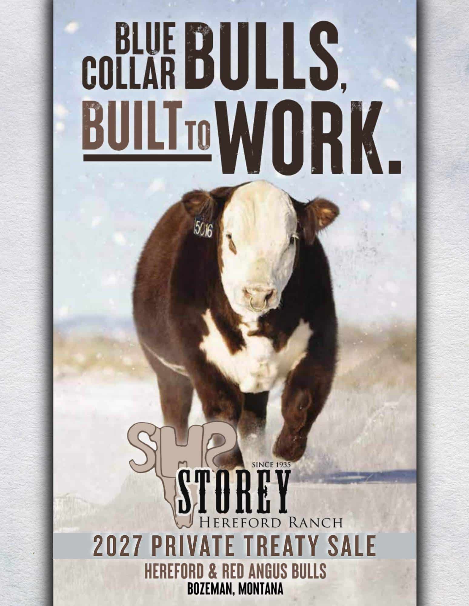 Storey Hereford Ranch: Private Treaty Hereford & Red Angus Bulls For Sale